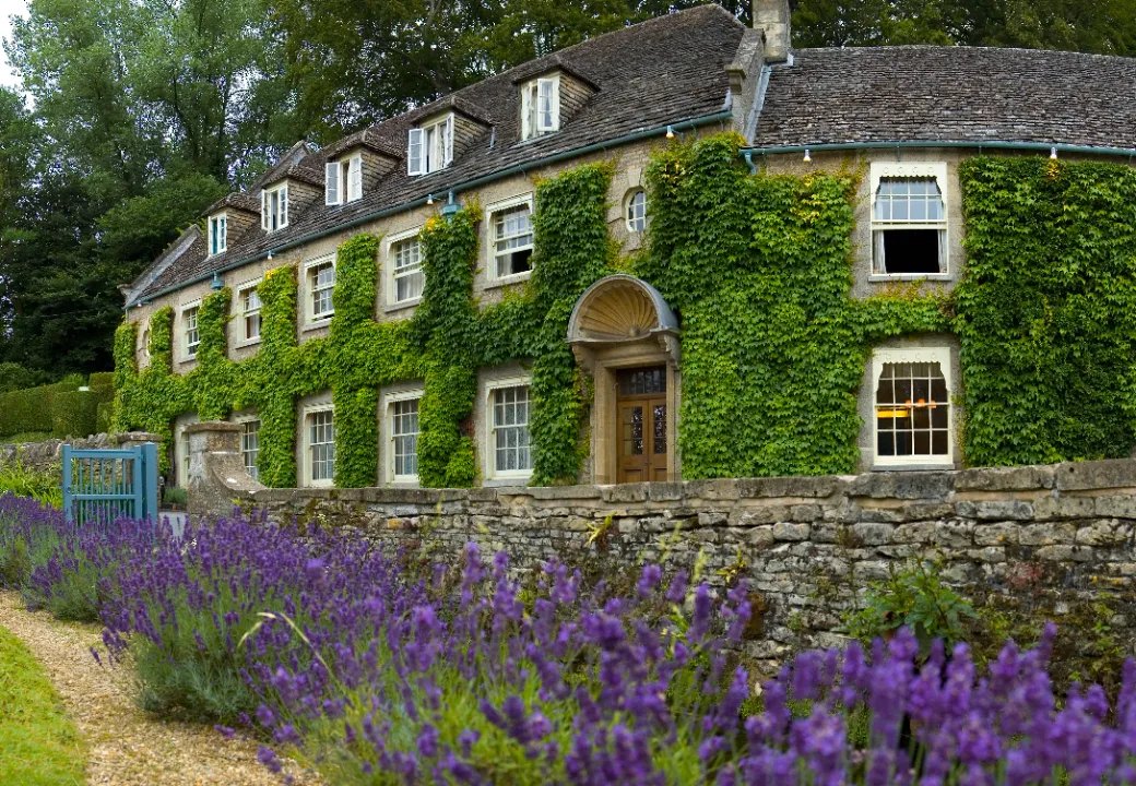 Heritage timber sash windows in an ivy-clad period house